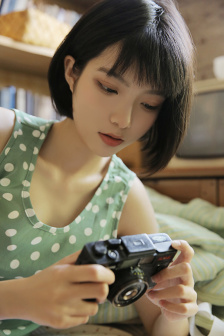 铁杉树丛第一季